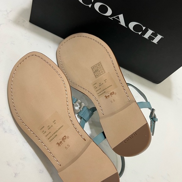 Coach Blue T-Strap Sandals with Metallic Detail - Picture 9 of 10